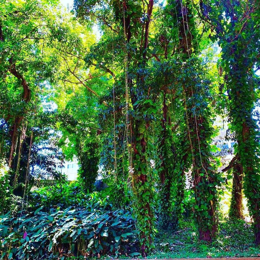 Hotel Cataguases Dış mekan fotoğraf
